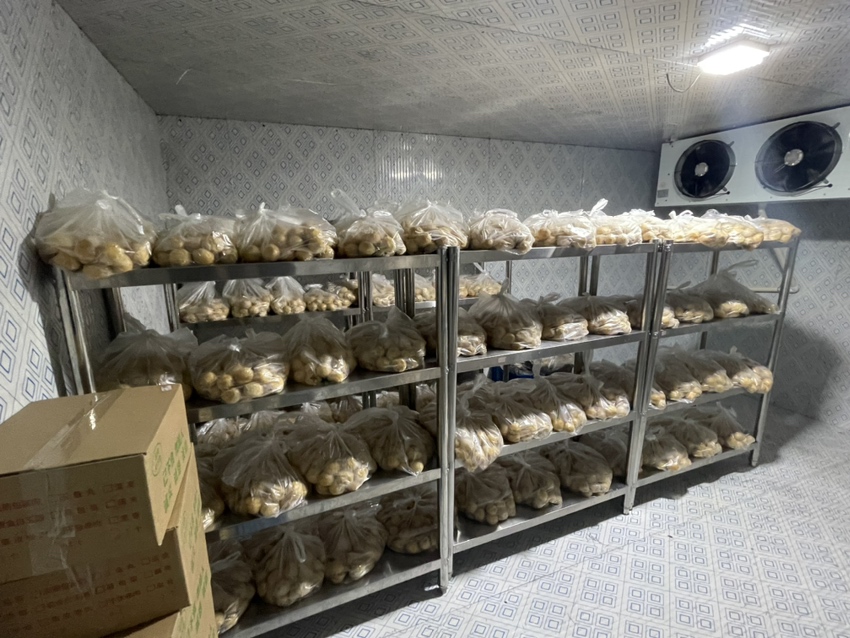 鸡蛋放入冰箱冷藏示意图