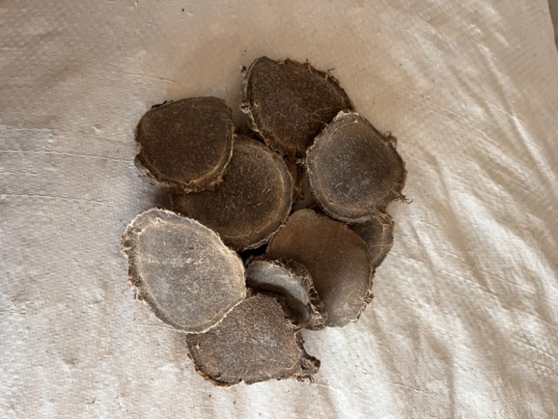 莪术广西精品大莪术产地直销现货供应
