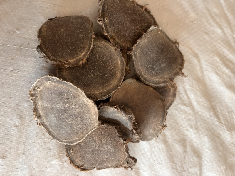 莪术广西精品大莪术产地直销现货供应