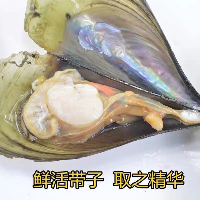 原汁带子肉江瑶贝柱扇贝丁贝柱鲜贝肉手工鲜活现剥
