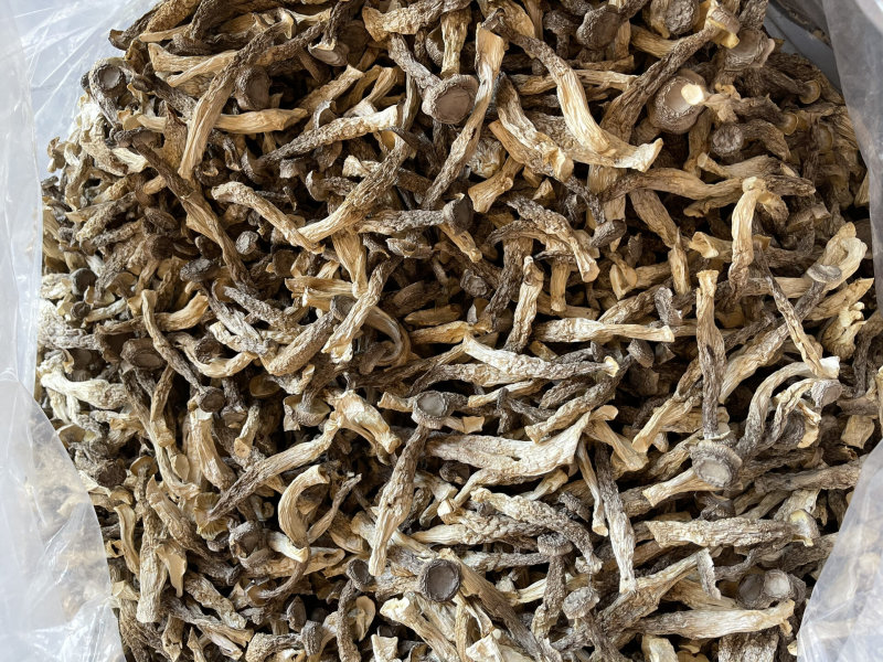 鹿茸菇干货无干燥剂鹿茸菌鹿耳菇饭店酒店煲汤食