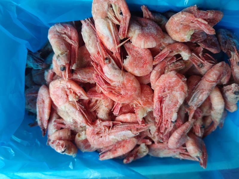 头籽北极甜虾虾残虾，90120正规格，非常实惠，