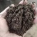 发酵羊粪大量现货出售