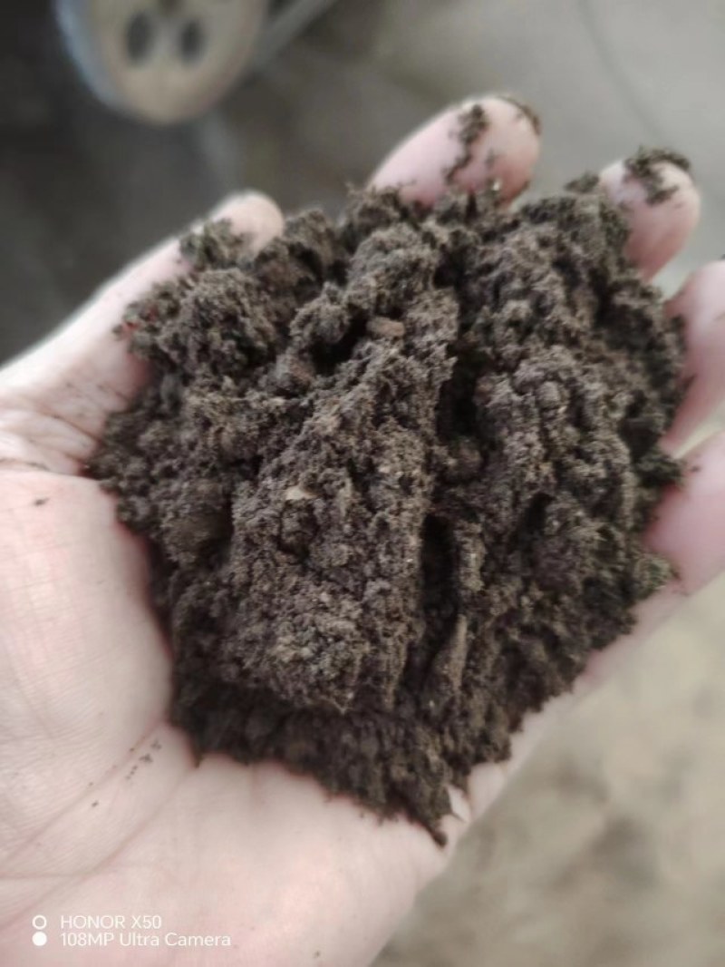 发酵羊粪大量现货出售