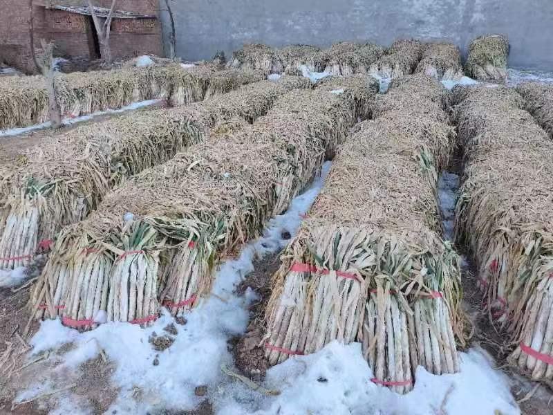 东北家常菜中的大葱白使用