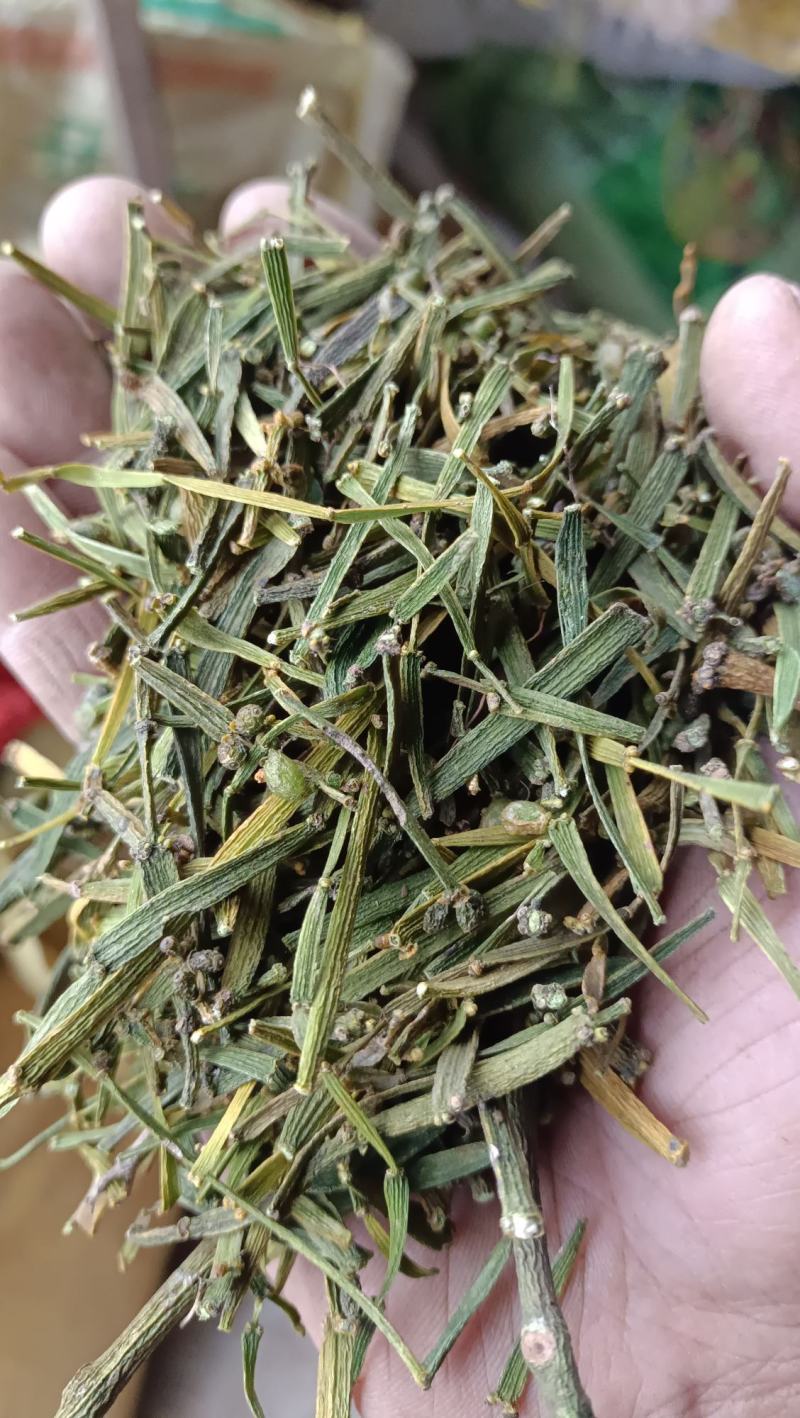 槲寄生，扁寄生，螃蟹脚寄生