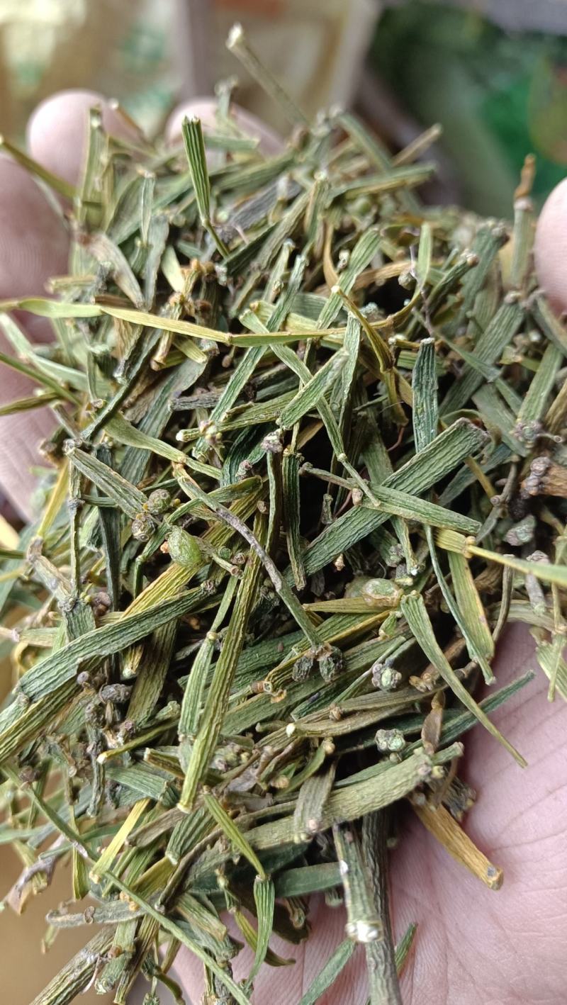 槲寄生，扁寄生，螃蟹脚寄生