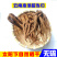大凉山新鲜高原湿甜当归干甜当归现挖小当归粉糯煲汤蔬菜包