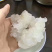 长白山林蛙干雪蛤干雪蛤油蛤蟆油林蛙油滋补煲汤8克9克