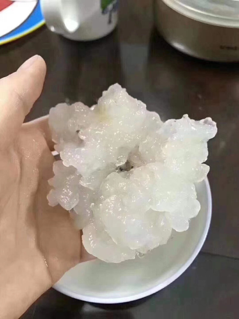 长白山林蛙干雪蛤干雪蛤油蛤蟆油林蛙油滋补煲汤8克9克