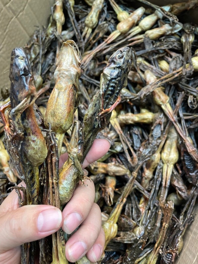 长白山林蛙干雪蛤干雪蛤油蛤蟆油林蛙油滋补煲汤8克9克