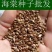 河北怀来八棱海棠树种子果树种子净籽嫁接苹果树种子砧木种子