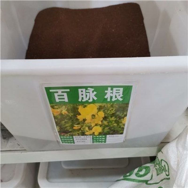 百脉根种子牧草种子五叶草牛角花草种子多年生牧草高产量护坡