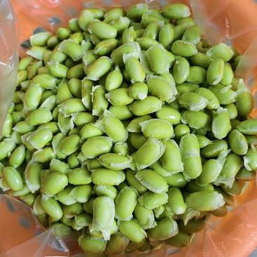 广西桂林精品毛豆粒货源充足稳定量大从优全国发货欢迎来电