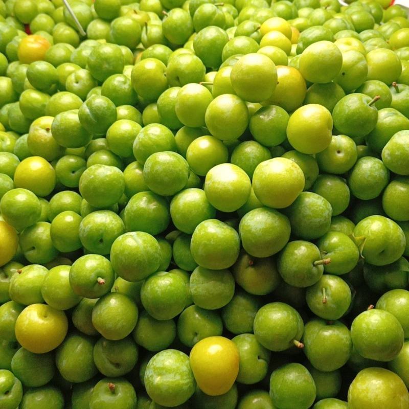 2024早李米李三月李欢迎电商批发美团多多买菜对接