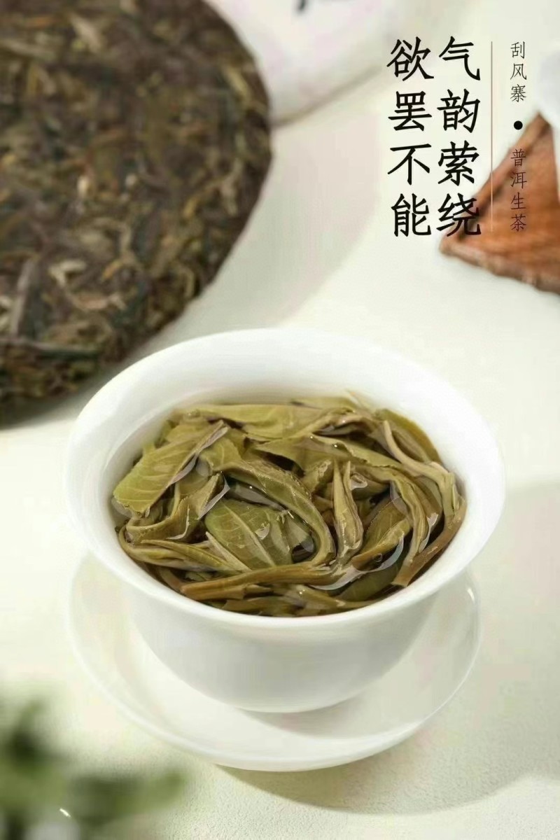 【刮风寨】云南普洱茶生茶饼茶普洱茶生普2013年