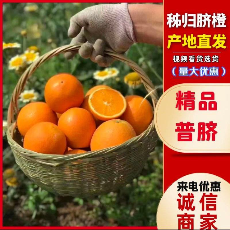 🅰秭归脐橙脐橙皮薄汁水饱满口感纯甜
