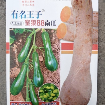 南瓜种子有名王子特色南瓜老嫩兼收腔小肉厚肉质致密好吃