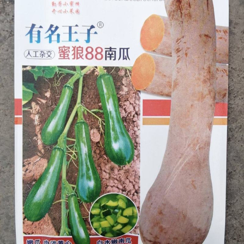 南瓜种子有名王子特色南瓜老嫩兼收腔小肉厚肉质致密好吃