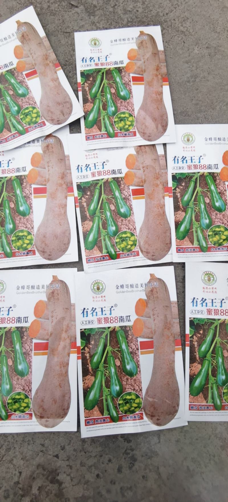 南瓜种子有名王子特色南瓜老嫩兼收腔小肉厚肉质致密好吃