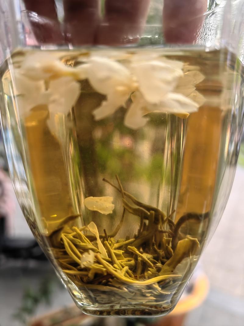 四川优质茉莉花茶，三窨二炒品质保证，性价比超高，大量供应
