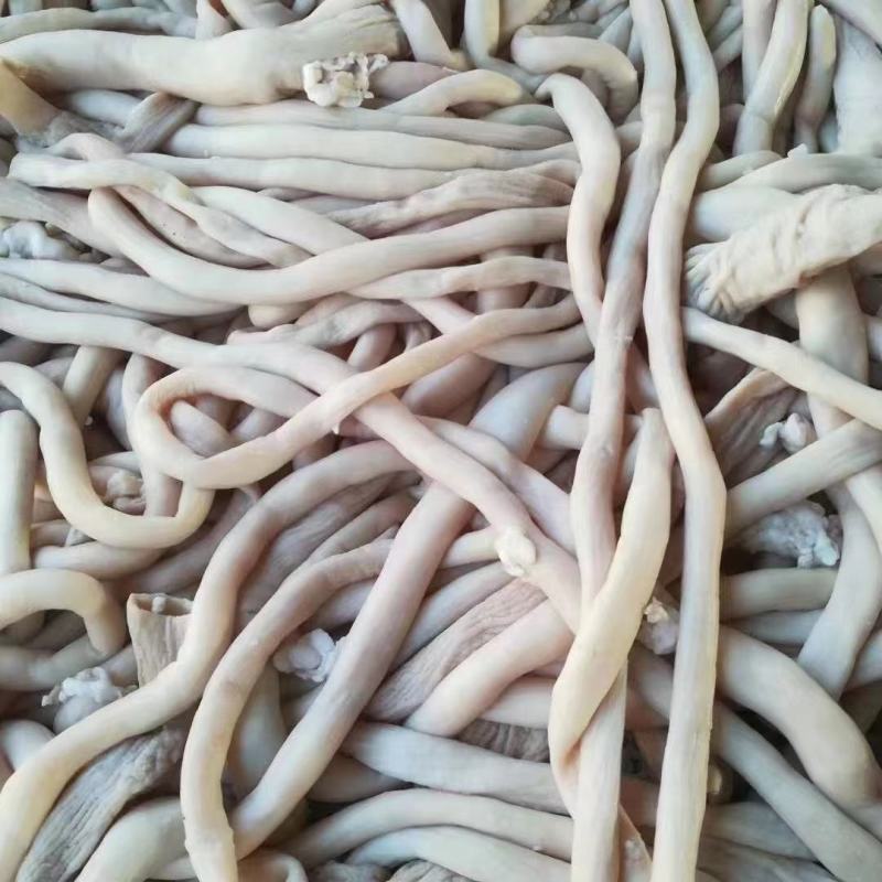 全熟五香羊肠十分熟干净烂糊