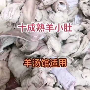 羊小肚干净烂糊