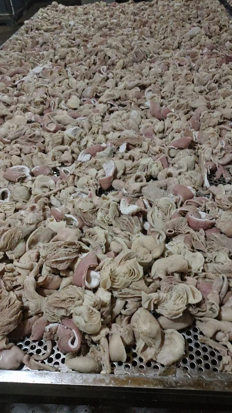 羊小肚干净烂糊