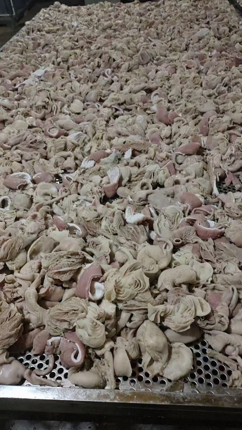 羊小肚干净烂糊