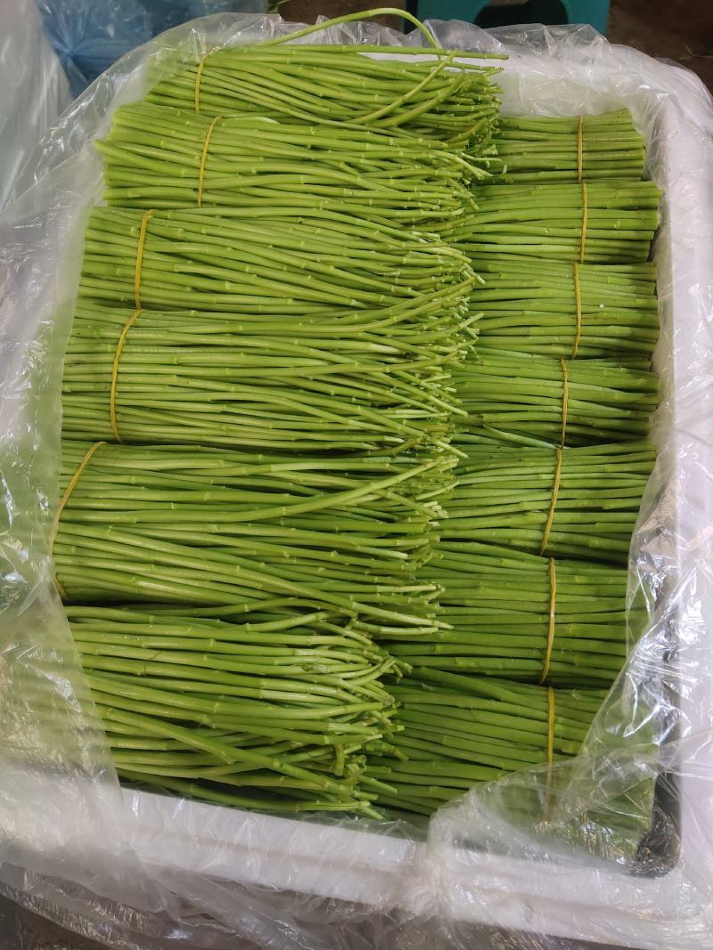 云南新鲜芦蒿