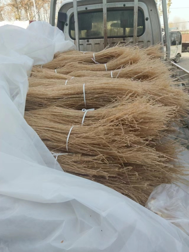 西瓜红红薯粉丝，产地直供质量保证，口感好，品质有保障