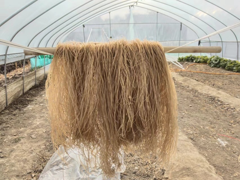 西瓜红红薯粉丝，产地直供质量保证，口感好，品质有保障