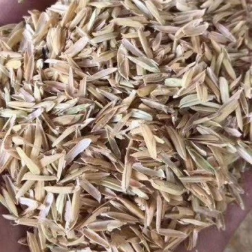 湖北河南压缩稻壳稻糠米皮米糠麦糠麦皮