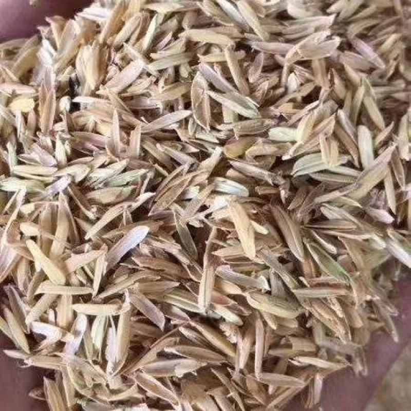 湖北河南压缩稻壳稻糠米皮米糠麦糠麦皮