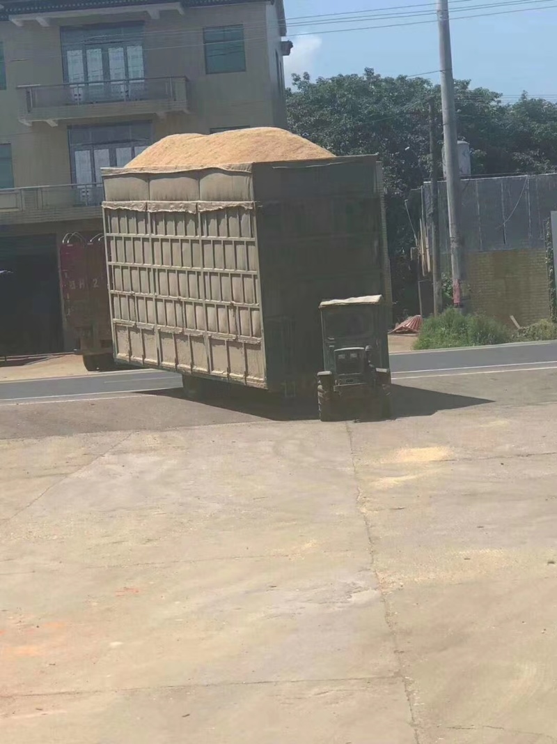 湖北河南压缩稻壳稻糠米皮米糠麦糠麦皮