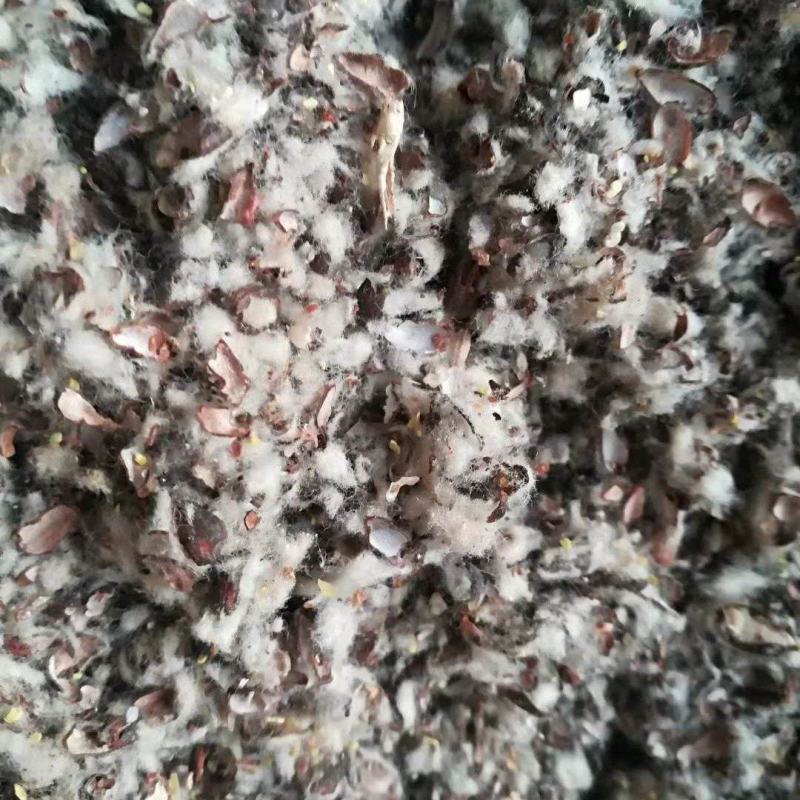 湖南长沙棉籽壳