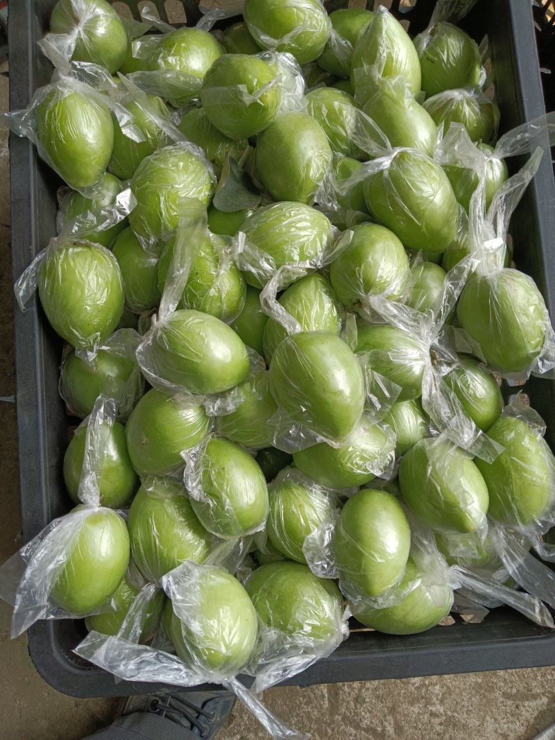 密丝枣