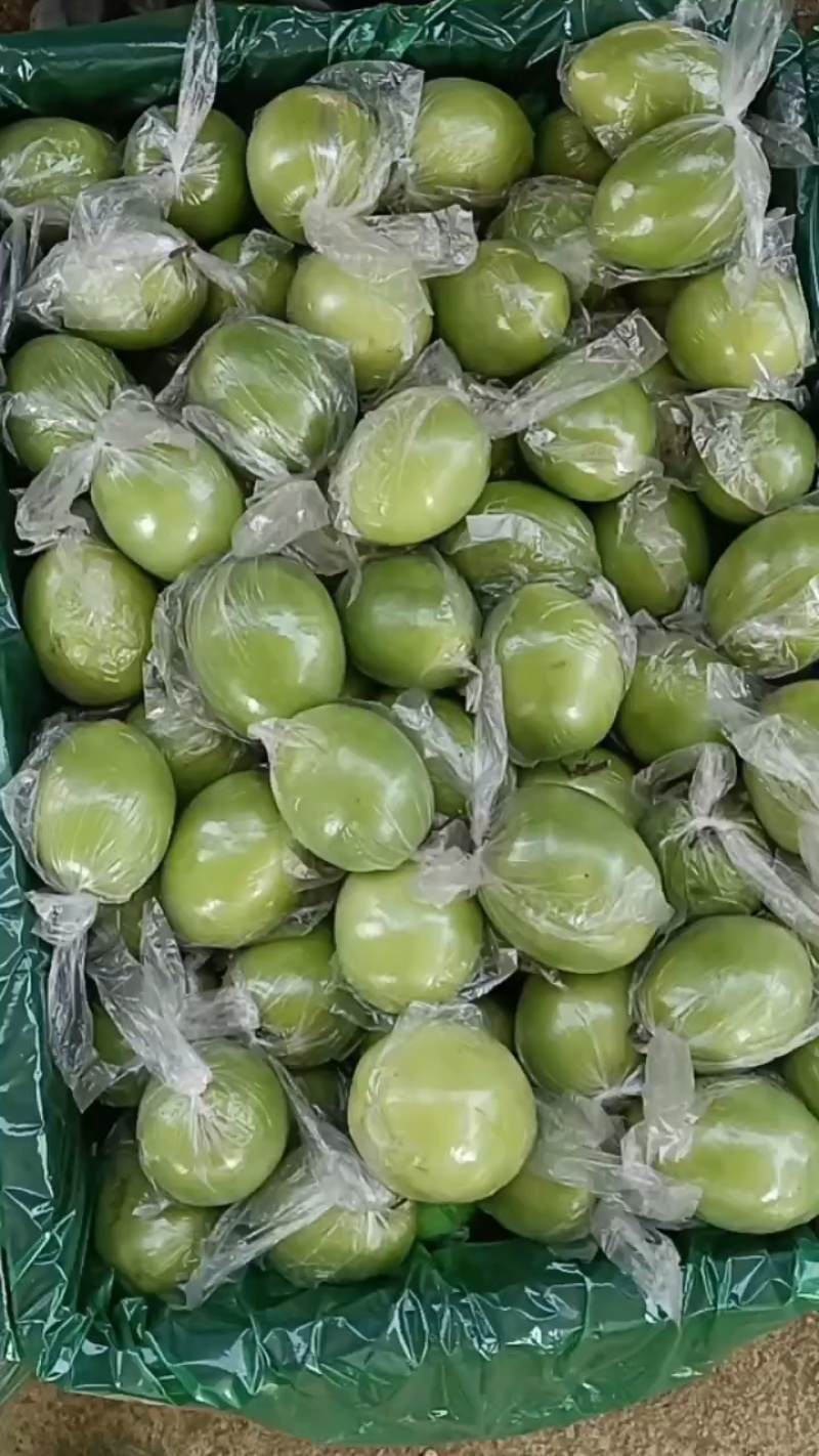 密丝枣
