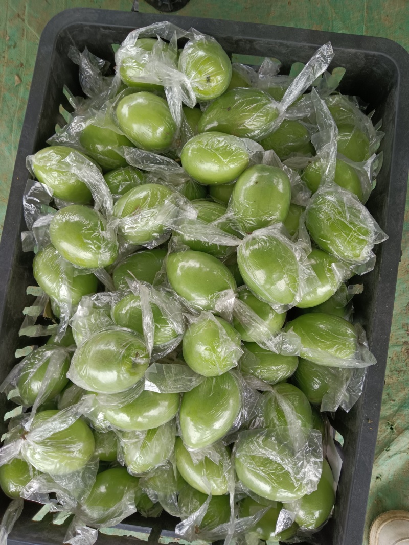 密丝枣