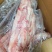 儿肠头猪花肠头生肠头菊花脆儿肠肠头串串菜品火锅