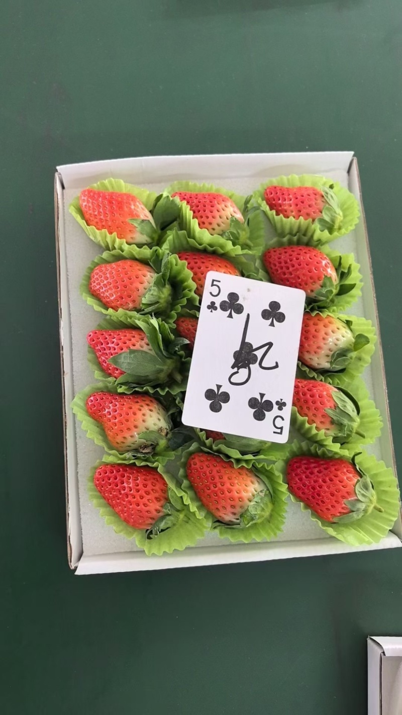 梦之莹淡雪天使白草莓接电商一件代发代办