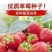 四季播种散装草莓种子室内阳台盆栽蔬菜水果蔬菜籽菜园水果种