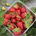 四季播种散装草莓种子室内阳台盆栽蔬菜水果蔬菜籽菜园水果种