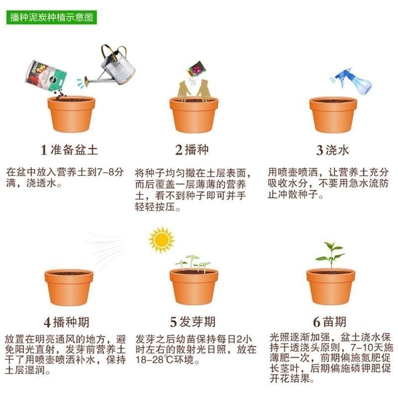 四季播种散装草莓种子室内阳台盆栽蔬菜水果蔬菜籽菜园水果种