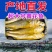 海捕黄花鱼小黄鱼新鲜冷冻鲜活黄鱼批发大黄花鱼整箱海鲜