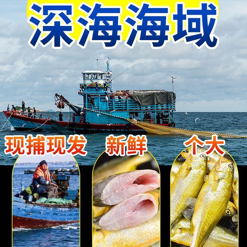 海捕黄花鱼小黄鱼新鲜冷冻鲜活黄鱼批发大黄花鱼整箱海鲜