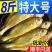 海捕黄花鱼小黄鱼新鲜冷冻鲜活黄鱼批发大黄花鱼整箱海鲜