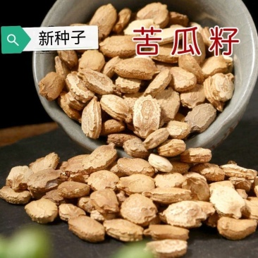 散装苦瓜种子高产四季易种长青绿白苦瓜优质早熟黑苦瓜种
