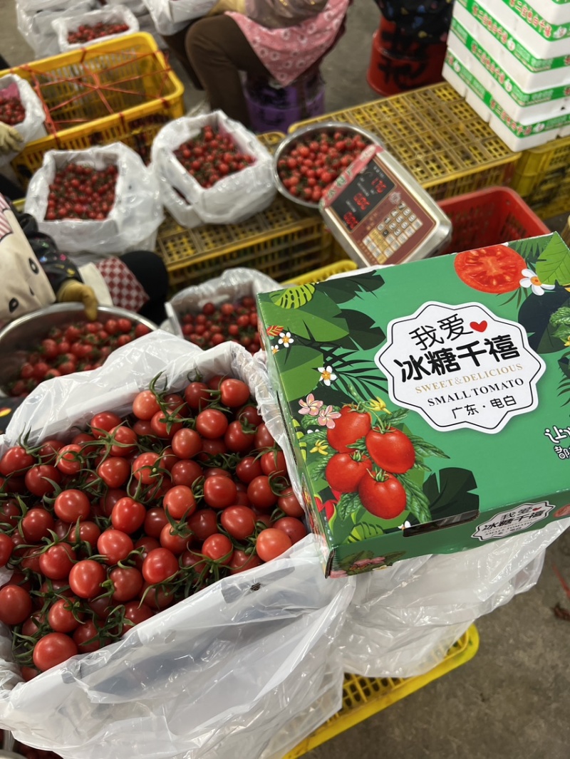 圣女果千禧广西圣女果社区团购小包装各种包装
