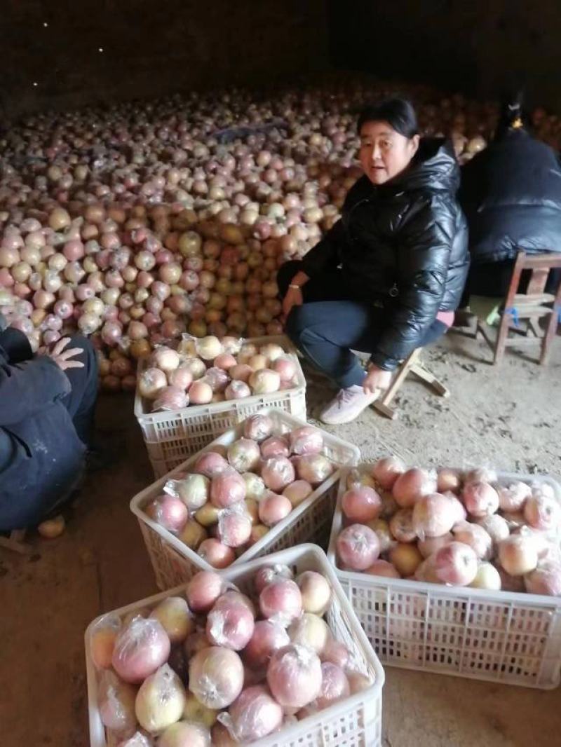 冠县富士
